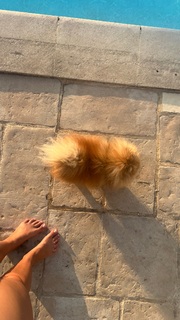 Camille Cerf feet photo thumbnail