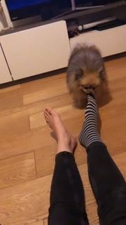 Camille Lou feet photo thumbnail
