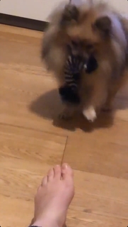Camille Lou feet photo thumbnail