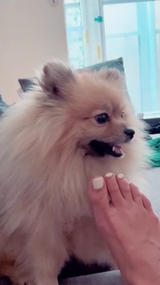 Camille Lou feet photo thumbnail