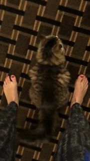 Camren Bicondova feet photo thumbnail