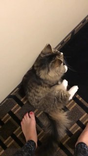 Camren Bicondova feet photo thumbnail