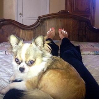 Candace Bailey feet photo thumbnail