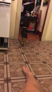 Candace Carrizales feet photo thumbnail