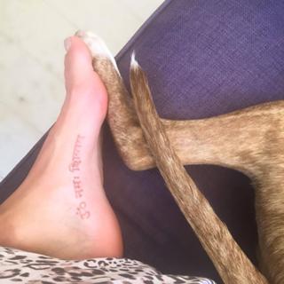 Candace Kroslak feet photo 4