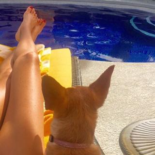 Candace Kroslak feet photo 19