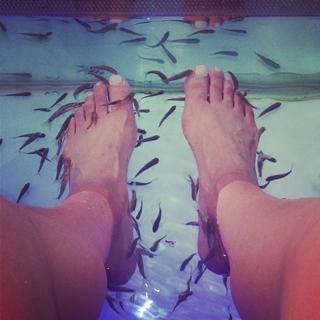 Candace Kroslak feet photo 6