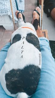 Candela Ruggeri feet photo 12