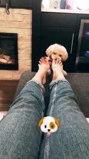 Candice Patton feet photo thumbnail