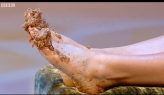 Caprice Bourret feet photo 3