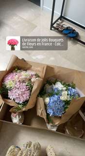 Capucine Anav feet photo thumbnail