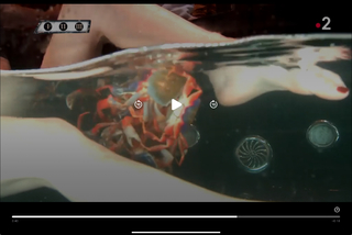 Capucine Anav feet photo thumbnail