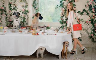 Cara Delevingne feet photo thumbnail