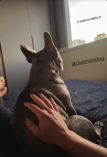 Carla Bigatto feet photo 12