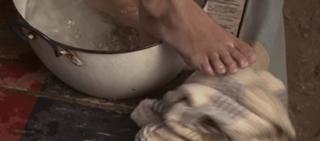 Carla Gallo feet photo 13