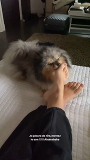 Carla Ginola feet photo 18