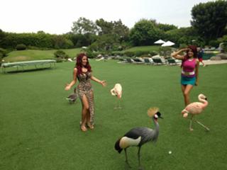 Carla Howe feet photo 3