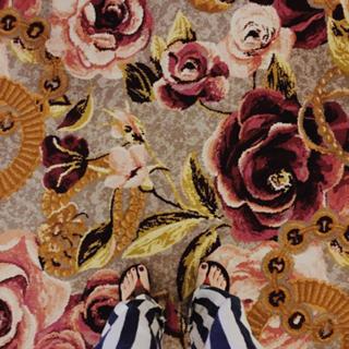 Carla Quevedo feet photo 17