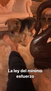 Carla Quevedo feet photo 10
