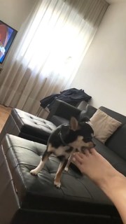 Carlotta Ferlito feet photo thumbnail