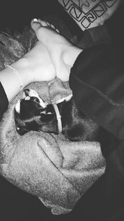 Carlotta Ferlito feet photo thumbnail