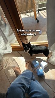 Carlotta Ferlito feet photo thumbnail