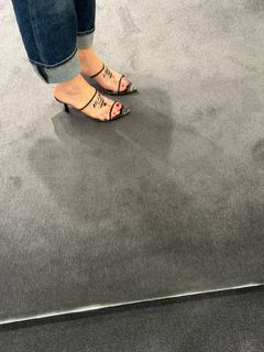 Carlotta Ferlito feet photo thumbnail