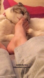 Carlson Young feet photo thumbnail