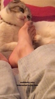 Carlson Young feet photo thumbnail