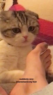 Carlson Young feet photo thumbnail