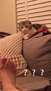 Carlson Young feet photo thumbnail