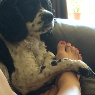 Carly Craig feet photo 7