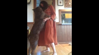 Carly Foulkes feet photo thumbnail