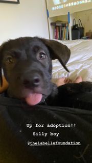 Carly Foulkes feet photo thumbnail