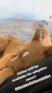 Carly Foulkes feet photo thumbnail