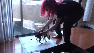 Carly Incontro feet photo thumbnail
