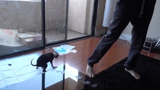 Carly Incontro feet photo thumbnail