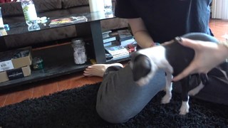 Carly Incontro feet photo thumbnail
