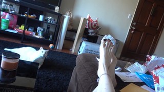 Carly Incontro feet photo thumbnail