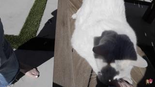 Carly Incontro feet photo thumbnail