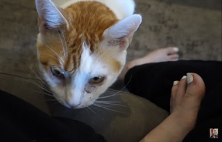 Carly Incontro feet photo thumbnail