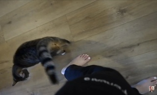 Carly Incontro feet photo thumbnail
