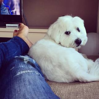 Carme Barceló feet photo 19