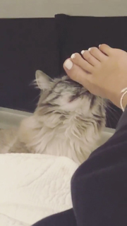 Carmella Rose feet photo thumbnail