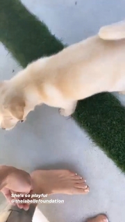 Carmella Rose feet photo thumbnail