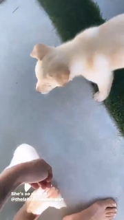 Carmella Rose feet photo thumbnail