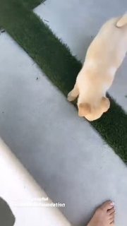 Carmella Rose feet photo thumbnail