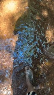 Carol Barcellos feet photo 11