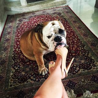 Carol Belli feet photo 8