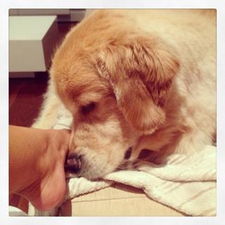 Carol Belli feet photo 13